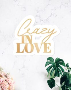 CARTEL | Crazy in love