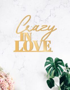 CARTEL | Crazy in love cartel - Silueta