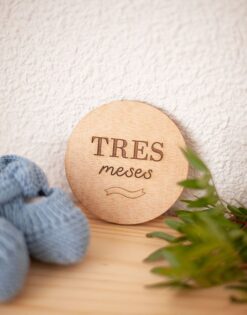 Set 12 placas cumplemeses en madera